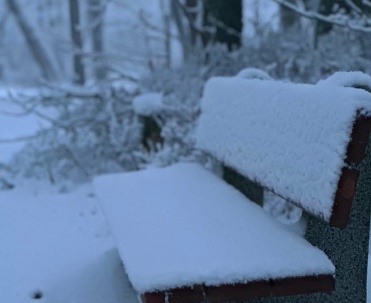 Dębki zimą &ndash; natura i spok&oacute;j
